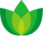 Bido (Flamur) Dermyshi